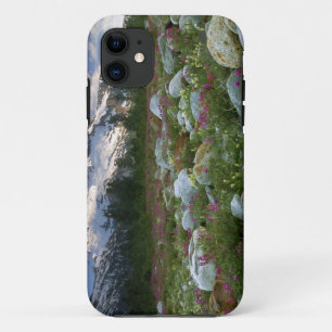 Etui iPhone Case-Mate États-Unis, Alaska, Alsek-Tatshenshini Wilderness.