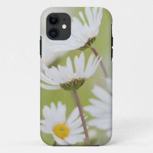 Coques Pour iPhone États-Unis, Alaska, Glacier Bay National Park