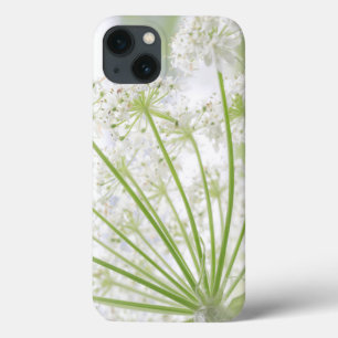 Coques Pour iPhone États-Unis, Alaska, Glacier Bay National Park 3