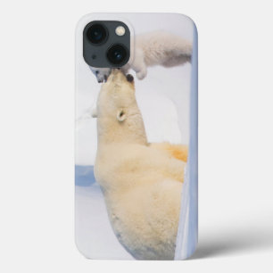 Etui iPhone Case-Mate États-Unis, Alaska, North Slope Ours polaires
