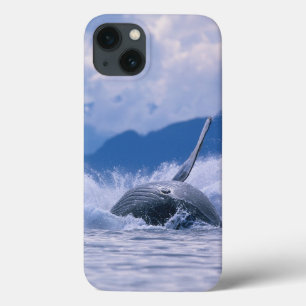 Coques Pour iPhone États-Unis, Alaska, Tongass National Forest, Bossu
