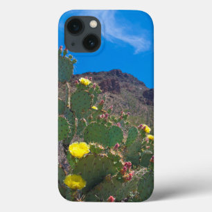 Etui iPhone 13 États-Unis, Arizona. Cactus dans les collines
