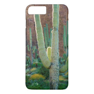 Coque iPhone 8 Plus/7 Plus États-Unis, Arizona. Champ de cactus saguaro près