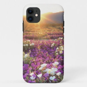 Coque Case-Mate Pour iPhone États-Unis, Californie, Anza-Borrego Desert State