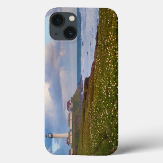 Coques Case-Mate iPhone États-Unis, Californie. Big Sur Panorama 2 (Verso)