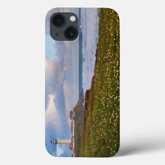 Coques Case-Mate iPhone États-Unis, Californie. Big Sur Panorama 2 (Verso)