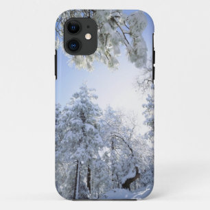 Etui iPhone Case-Mate États-Unis, Californie, Cleveland National Forest,