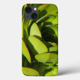 iPhone 13 Coque États-Unis, Californie. Fermeture du Plante géan