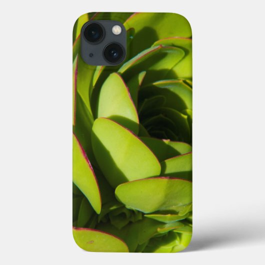 Coques Case-Mate iPhone États-Unis, Californie. Fermeture du Plante géant  (Verso)