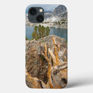 Etui iPhone 13 États-Unis, Californie, forêt nationale d'Inyo.
