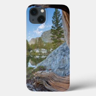 Coques Pour iPhone États-Unis, Californie, forêt nationale d'Inyo. Vi