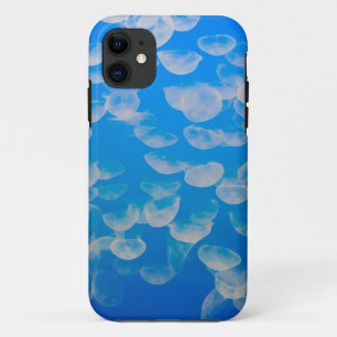 Coque iPhone 11 États-Unis, Californie. Méduses dans la baie de Mo