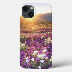 iPhone 13 Coque États-Unis, Californie, Parc d'État du désert d'An