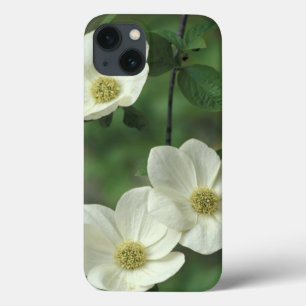 iPhone 13 Coque États-Unis, Californie, Parc national de Yosemite,