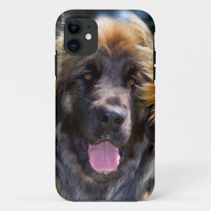 Etui iPhone Case-Mate États-Unis, Californie. Portrait de Leonberger ass