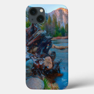 iPhone 13 Coque États-Unis, Californie. Racines d'arbres dans la r