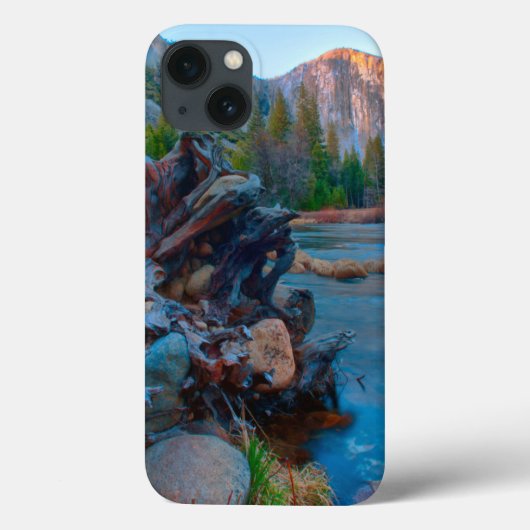 Coques Case-Mate iPhone États-Unis, Californie. Tree Roots (Verso)