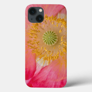 iPhone 13 Coque États-Unis, Caroline du Nord. Gros plan de l'intér