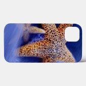 Coques Case-Mate iPhone États-Unis, Caroline du Sud, île de Hilton Head. D (Verso (horizontal))