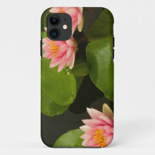 Coque iPhone 11 États-Unis, DC, Washington, Kenilworth 4