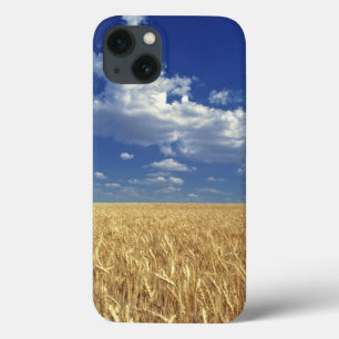 Coques Pour iPhone États-Unis, État de Washington, Colfax. Blé mûr