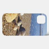 Coques Case-Mate iPhone États-Unis, Floride, coquillages côtiers (Verso (horizontal))