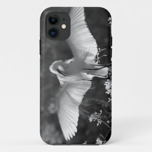 Coques Pour iPhone États-Unis, Floride, Grande Aigrette (Ardea alba)