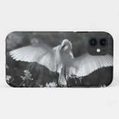 Coques Case-Mate iPhone États-Unis, Floride, Grande Aigrette (Ardea alba) (Dos (Horizontal))
