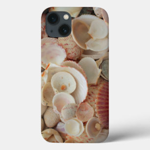 Coques Pour iPhone États-Unis, Floride. Gros plan de coquillages sur