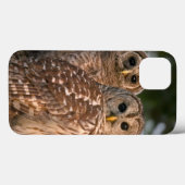Coques Case-Mate iPhone États-Unis, Floride, Viera Wetlands. Trois barrés (Verso (horizontal))