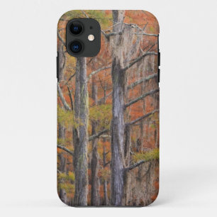 Coque iPhone 11 États-Unis, Géorgie, George Smith State Park, Cypr