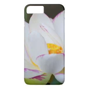 Coque iPhone 8 Plus/7 Plus États-Unis, Géorgie, Savannah, Fleur de lotus en f
