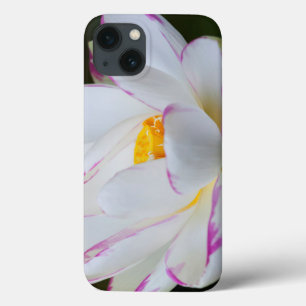 Coques Pour iPhone États-Unis, Géorgie, Savannah, Floraison de lotus