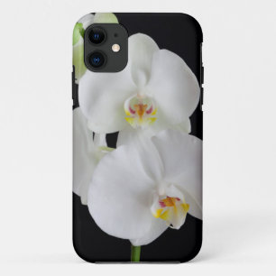 Coque iPhone 11 États-Unis, Géorgie, Savannah, groupe d'orchidées