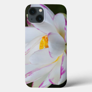 iPhone 13 Case États-Unis, Géorgie, Savannah, Lootus Flower Bloom