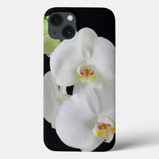 Coques Case-Mate iPhone États-Unis, Géorgie, Savannah, Piste D'Orchidées (Verso)