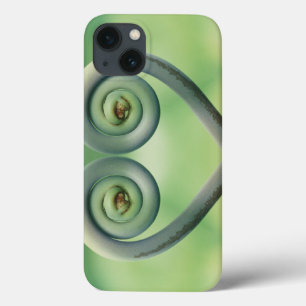 iPhone 13 Coque États-Unis, Hawaï. Frontage à Akaka Falls