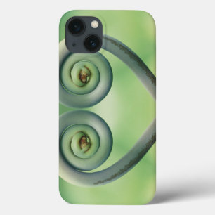 Case-Mate iPhone Case États-Unis, Hawaï. Frontage à Akaka Falls