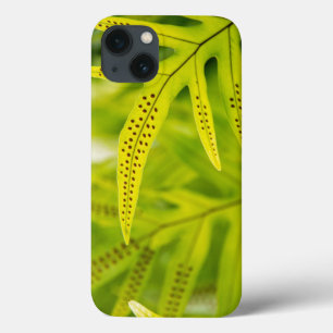 iPhone 13 Coque États-Unis, Hawaï, Grande Île. Fougère verte tropi