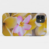 Coques Case-Mate iPhone États-Unis, Hawaï, Oahu, fleurs de la plumeria en (Dos (Horizontal))