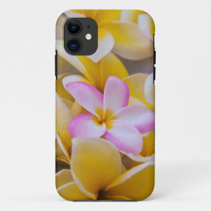 Case-Mate iPhone Case États-Unis, Hawaï, Oahu, Fleurs de plumeria en fle