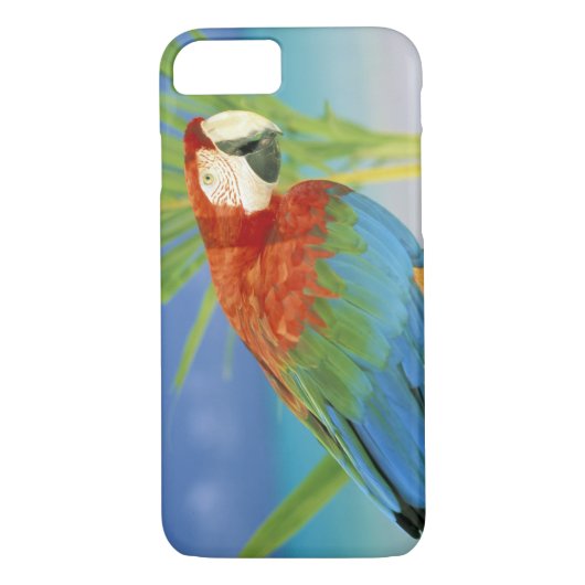Coques Case-Mate iPhone États-Unis, Hawaï. Perroquet (Dos)