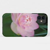 Coques Case-Mate iPhone États-Unis, Kansas, Nymphaea odorata (Dos (Horizontal))
