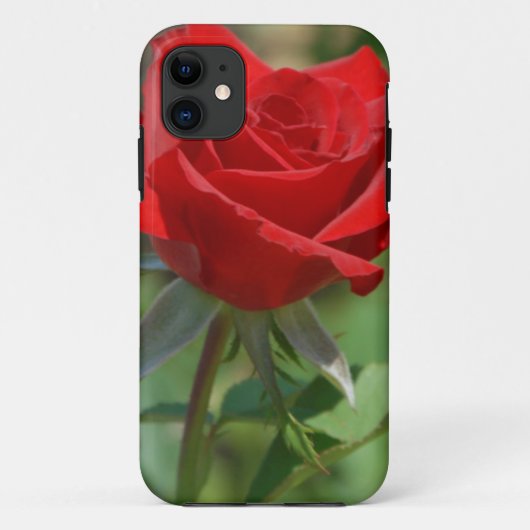 Coques Case-Mate iPhone États-Unis, Kansas, Rose rouge (Dos)
