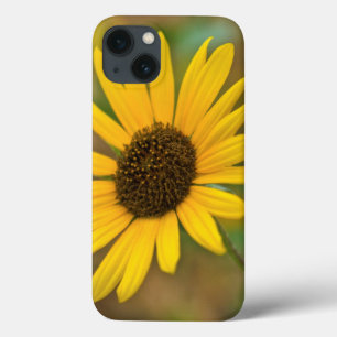 iPhone 13 Case États-Unis, Kansas. Tournesol sauvage