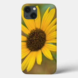 Etui iPhone Case-Mate États-Unis, Kansas. Tournesol sauvage
