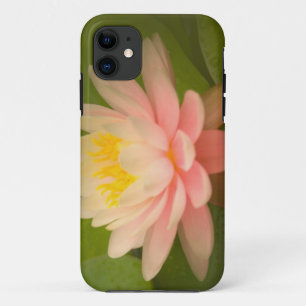 Coque Case-Mate Pour iPhone États-Unis, Maryland, Westminster, Union