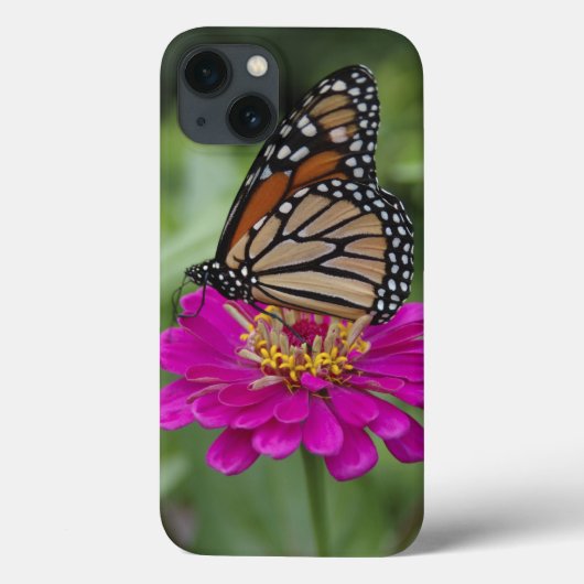 Coques Case-Mate iPhone États-Unis, Massachusetts, Boylston, Tower Hill (Verso)