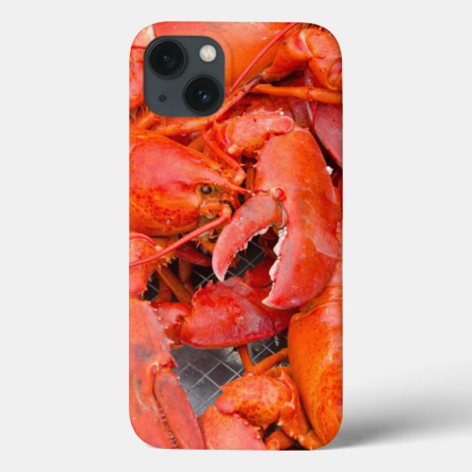 Coques Case-Mate iPhone États-Unis, Massachusetts, Martha's Vineyard (Verso)