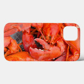 Coques Case-Mate iPhone États-Unis, Massachusetts, Martha's Vineyard (Verso (horizontal))